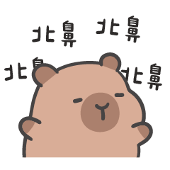 厭世水豚 (´•ω•`) 叫北鼻!