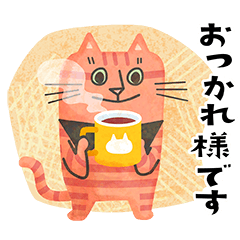 middle-aged border cat