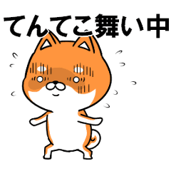 fcf dog shiba4