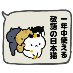 Honorific Japanese cat