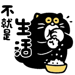 TempoMeow | Get moving, get moving!