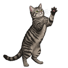 brown Mackerel Tabby sticker:3
