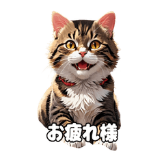 気まぐれネコのきもちスタンプ