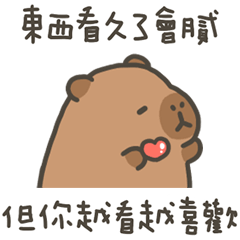 卡比巴拉肥水豚越看越喜歡