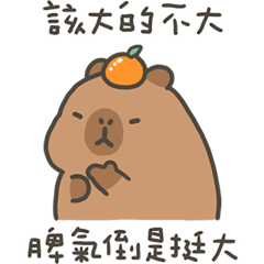 capy capybara 53