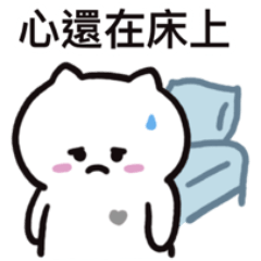 胎記喵 5
