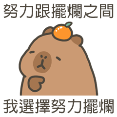 卡比巴拉肥水豚努力擺爛