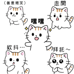 little white cat.