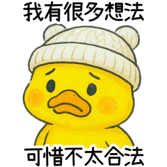 The yellow duckling has many ideas.