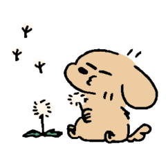 spring short legged dog