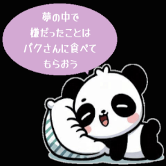 [bulu] Panda's daily life