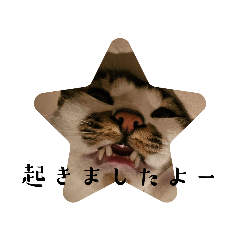 arisa_20250511202800