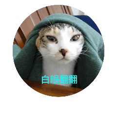 虎莎兄妹2