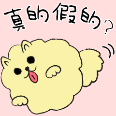 A carefree Pomeranian. -TW-