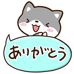 Black Cute Shiba24