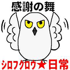Snowy Owl! cute funny happy life daily