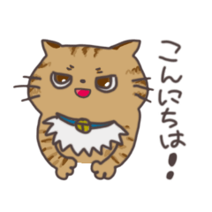 pirako_20250510221201