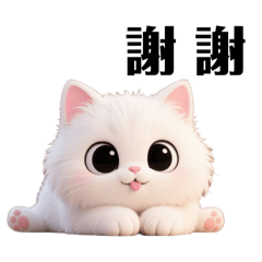 White Fat Cat's Daily Life Quotes 7