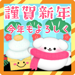 Maltese dog NewYear pretty 13