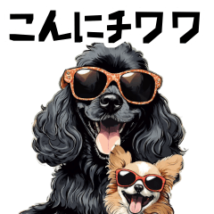 A punny black American Cocker Spaniel
