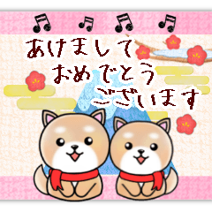 【ピアノと音楽】柴犬日和の年末年始 10