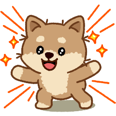 Cute Shiba Inu 'Malang'