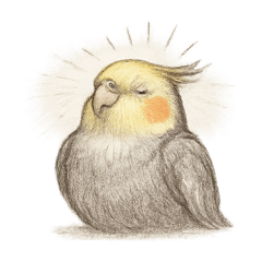 オカメスケッチ