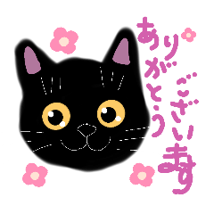 ニャンコにゃんこかわゆ