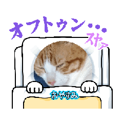 hidetora_20250512135642