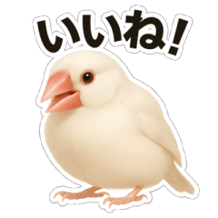 Real Java Sparrow Stickers