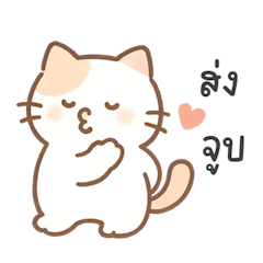 แมวน้อยมินิมอลพาสเทล