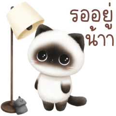 แมววิเชียรมาศ น่ารัก 1_28