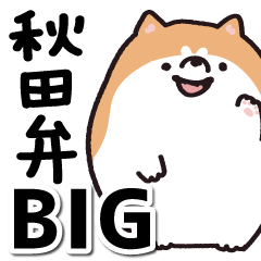 BIG Akita dialect