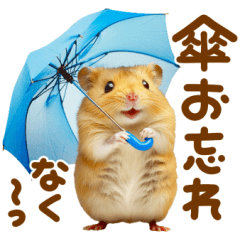 rainy hamster