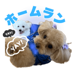 meiandmoco_20250511220708