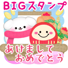 BIG Maltese dog NewYear pretty 16