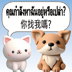 Thailand Thai Taiwan dogs cats pets4
