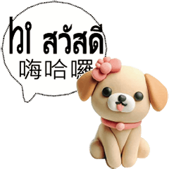 Thailand Thai Taiwan dogs cats pets1
