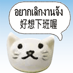 Thailand Thai Taiwan dogs cats pets6