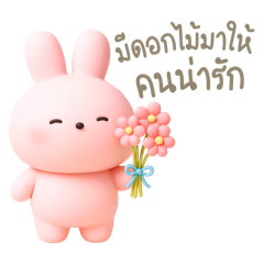 Muimui and Fufu the little koala