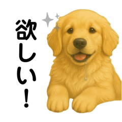 ふわふわゴールデンレトリバー