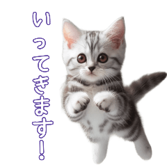 misa_20250512154012