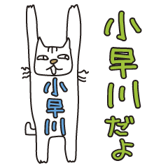 Only for Mr. Kobayakawa Banzai Cat