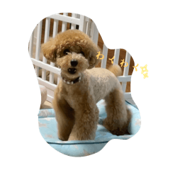 〜べるの日常〜