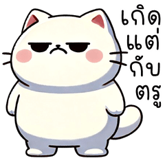 แมวอ้วน จอมป่วน