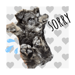 eriko_20250513033105