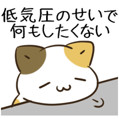 moving unmotivated cat & dog spece