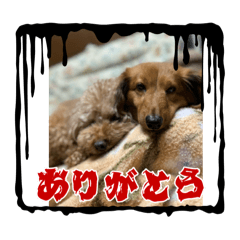 えのもとさん家