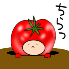 Tomato'Tomato3