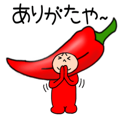 Korean Chili Pepper3
